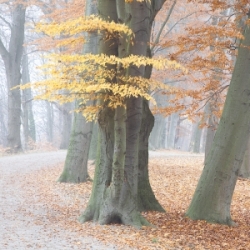 Fotospaziergang durch das Herbstlicht in Augsburg