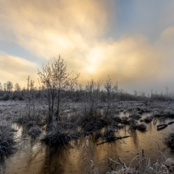 Fotospaziergang im Roten Moos im Winter