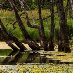 Fotospaziergang Seacht’n bei Andechs
