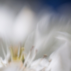 Frühlingserwachen beim Fotospaziergang durch Augsburg