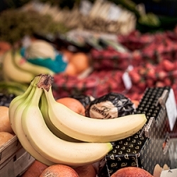 Fotospaziergang über den Augsburger Stadtmarkt