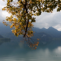 Fotoreise ins Murnauer Moos am Staffelsee