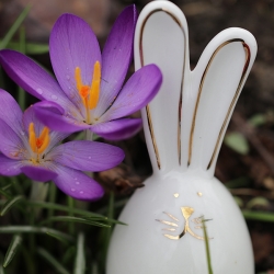 Osterspaziergang mit Fotokamera