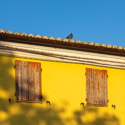 Form und Farbe in der Fotografie - Fotoworkshop