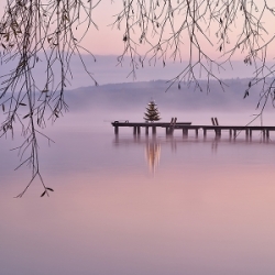 Naturfotografie im Fünfseenland