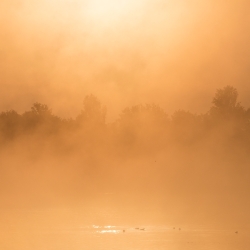 Fotospaziergang durchs Auenland
