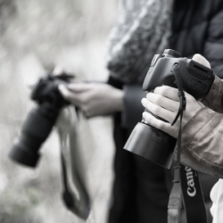 Fotokurs zu Belichtung und Blende