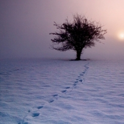 Landschaftsfotografie im Winterlicht Fotokurs