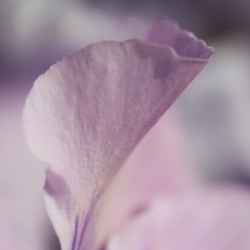 Fotokurs Sensuality of Spring der Fotoschule Augsburg
